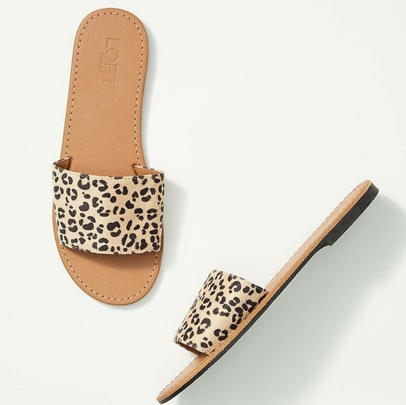 Loft Leopard Print Slide Sandals - Picture 1 of 6